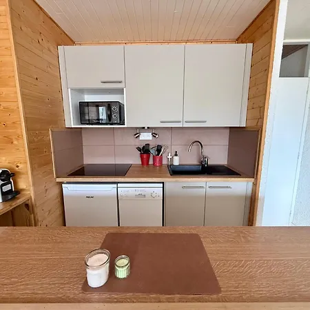 Le Petit Chamois Pied Des Pistes Appartement