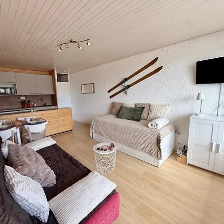 Le Petit Chamois Pied Des Pistes Appartement *